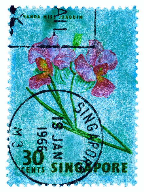 Singapore Stamp Collection '30 Cents Singapore Orchid Blue' by Richard Heeps