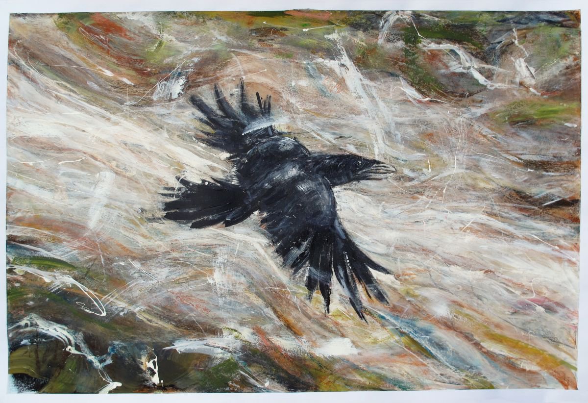 Raven, Saint Sunday Crag, Deepdale by John Sharp