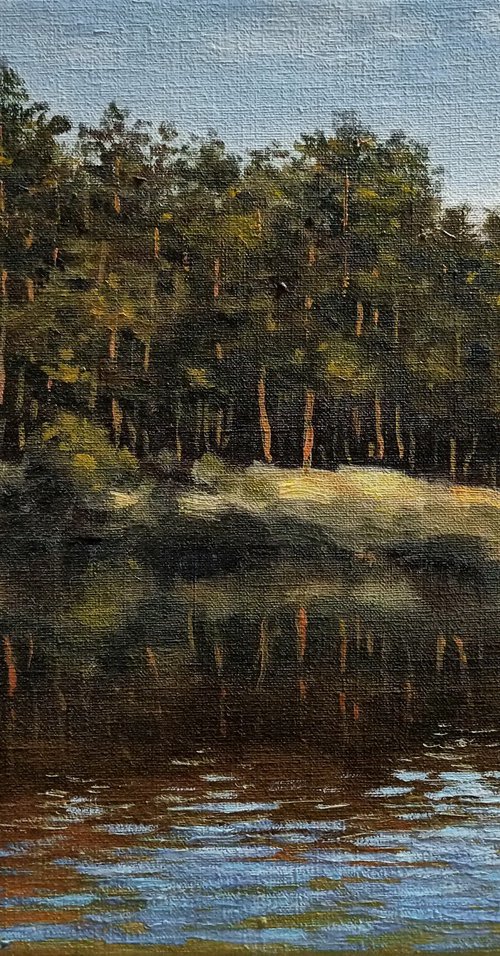 Shore of tranquility by Oleh Rak