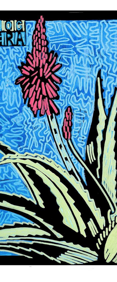 Hedgehog Aloe Vera by Laurel Macdonald