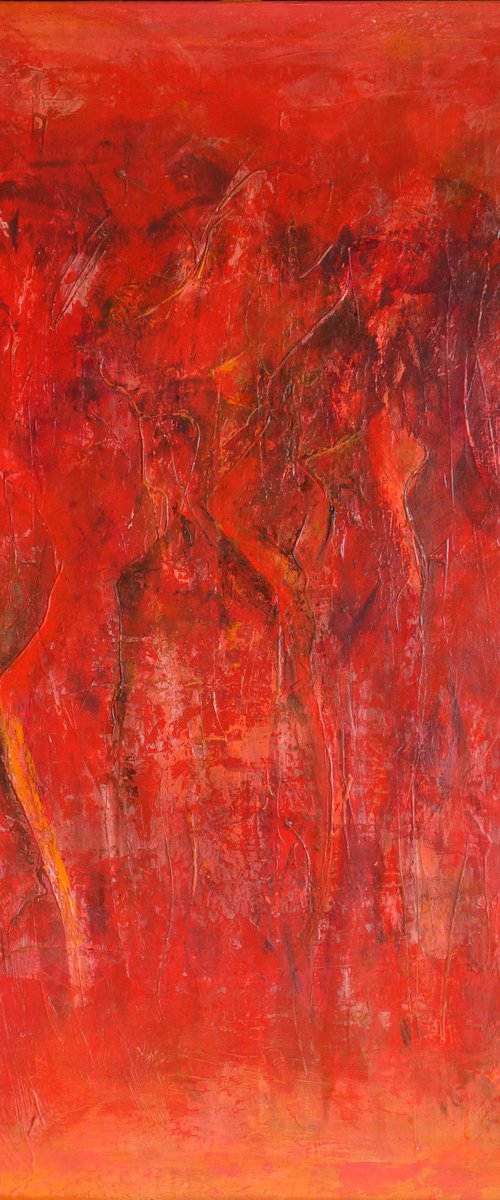 Rojo vivo by Doris Duschelbauer