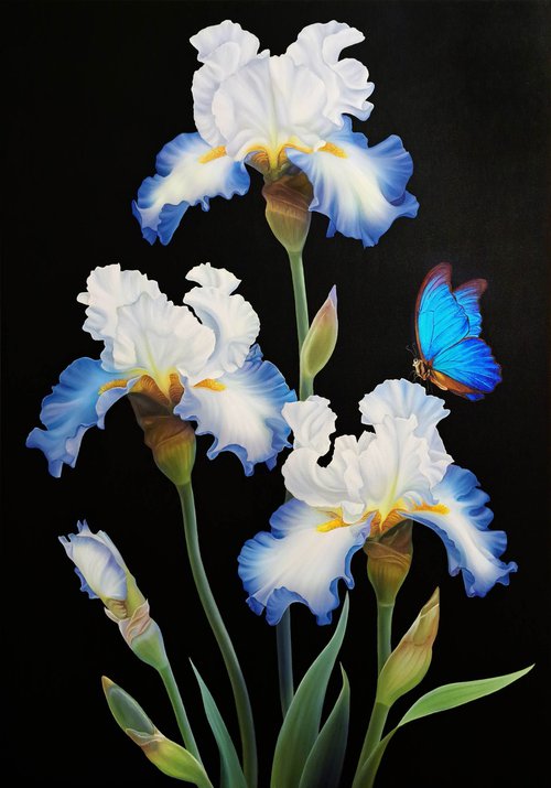 "Blue elegance", irises with butterfly by Anna Steshenko