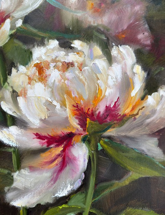 White peonies