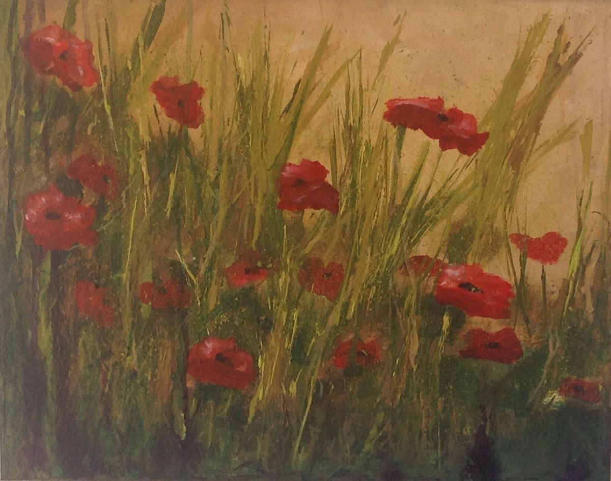 Poppies in the wild ! by Suzy K