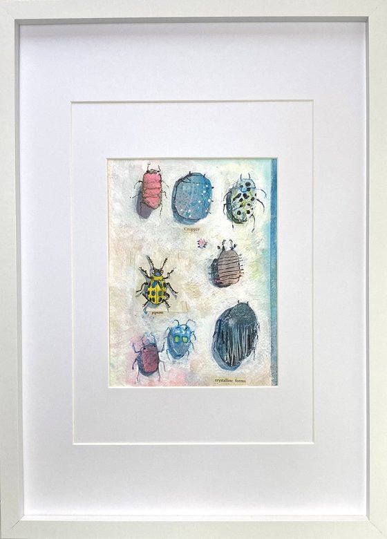 Bug Collection #06 - Framed mixed media abstract Beetle Painting