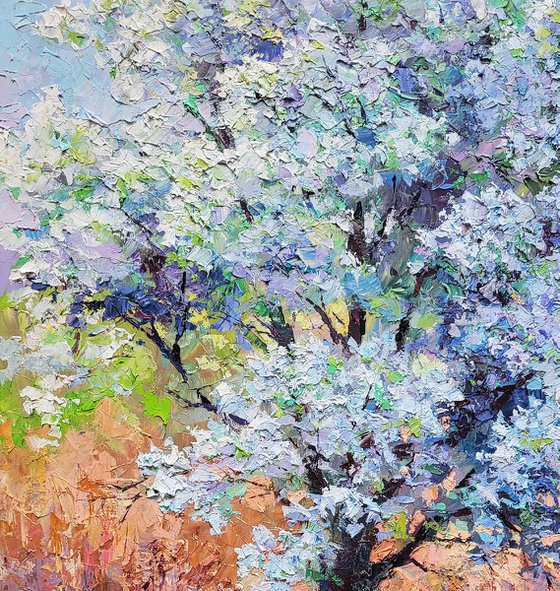 Pear blossoms