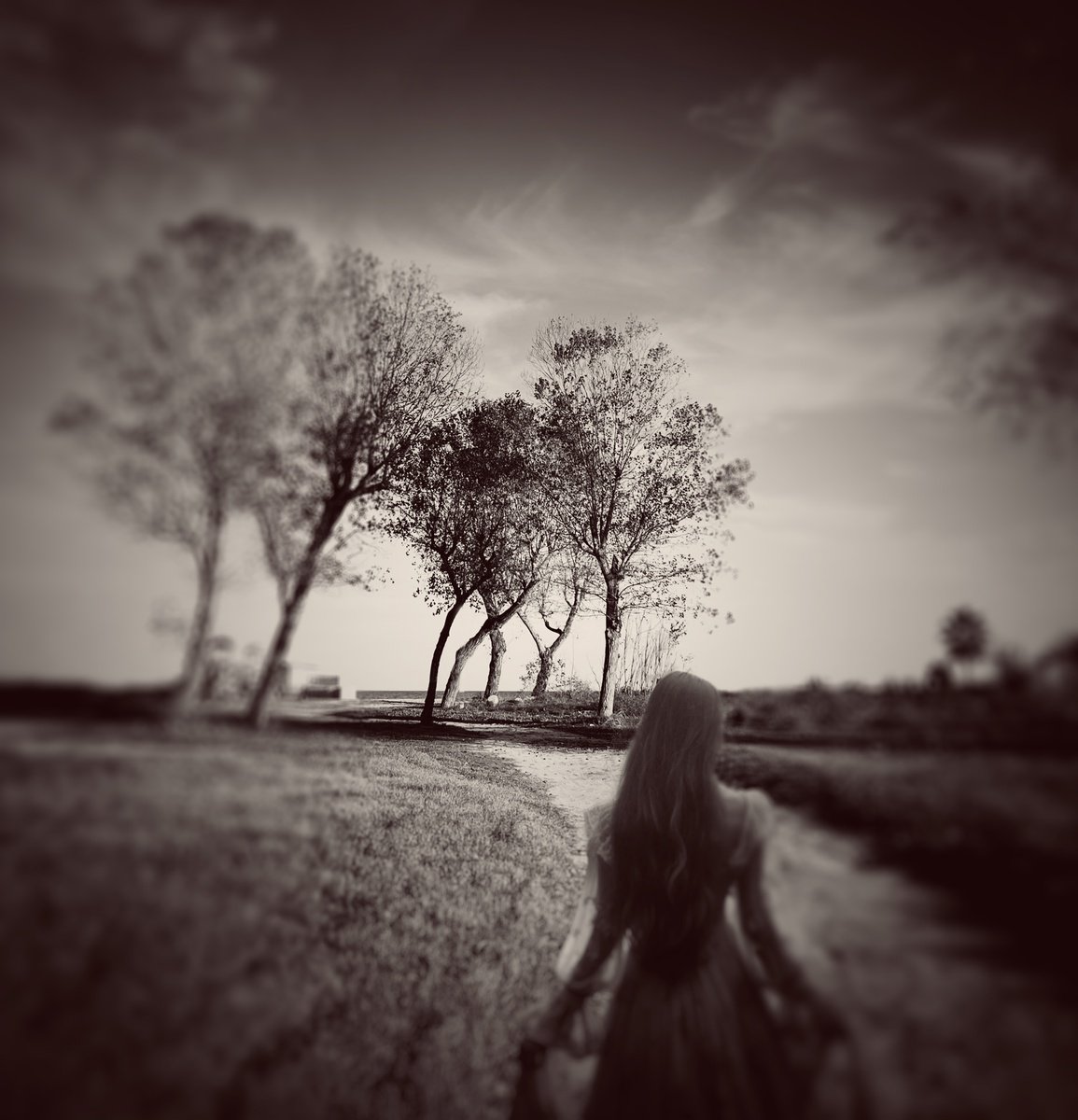 Surrealistic Portrait Photograph By Carmelita Iezzi, 20 X 20, The Road Sepia Version, Original Artwork