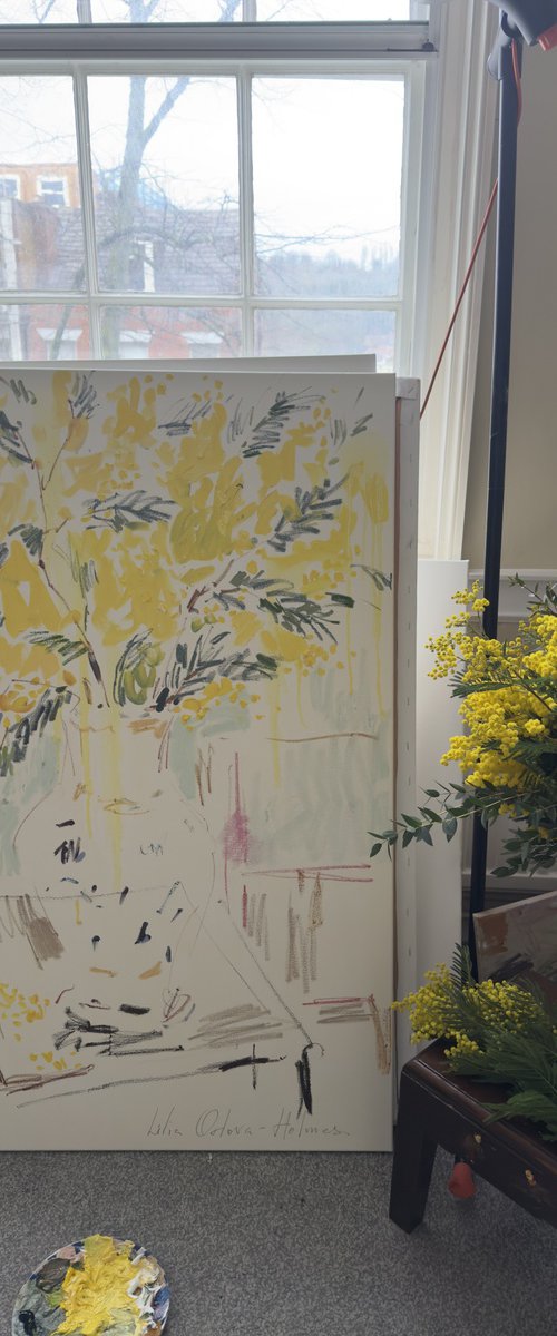 Mimosa by Lilia Orlova-Holmes