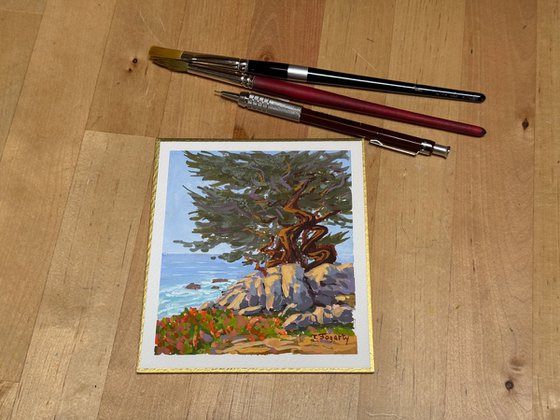 Ghost Trees And Rocks
