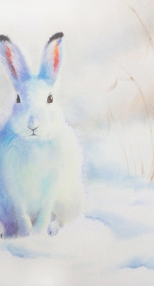 RESERVED - Sunny Bunny - arcti by Olga Beliaeva Watercolour