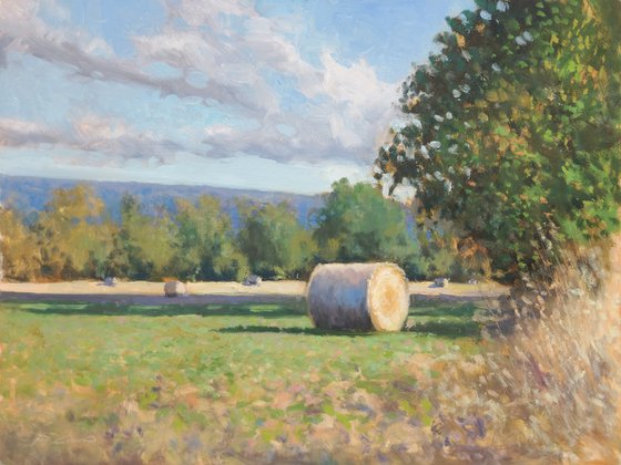 Hay Bales