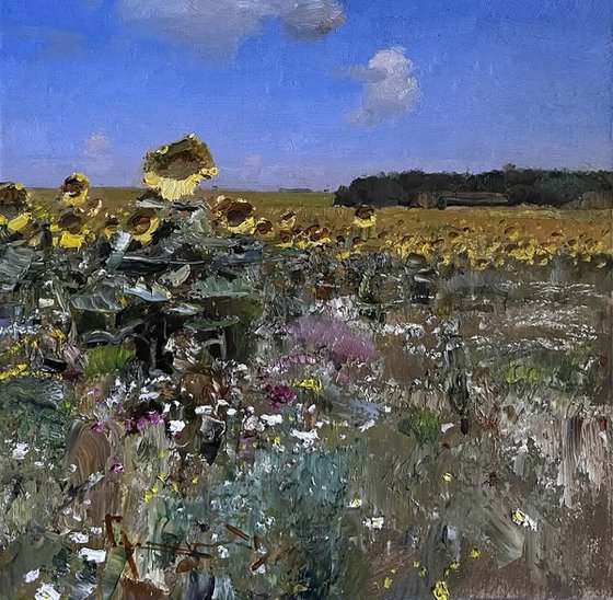 Sunny field