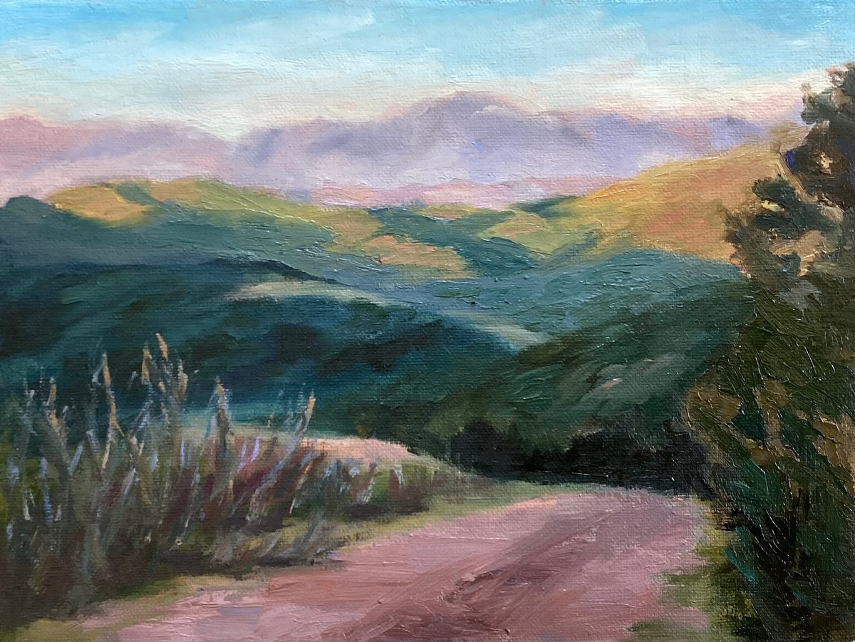 Impressionistic Landscape Oil Painting By Grace Diehl, 8 X 6, A View From The Top, Original Artwork