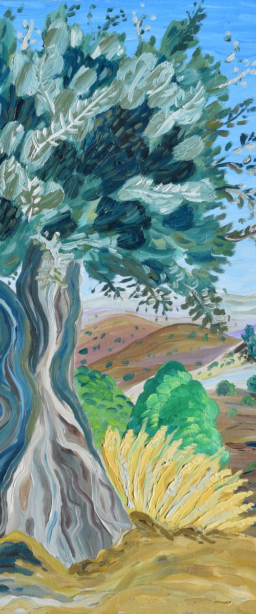 Olive tree in Alhaurin by Kirsty Wain