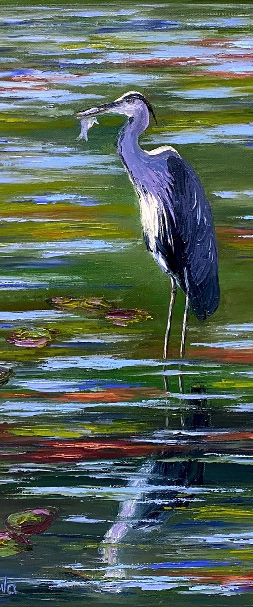 Heron fishing by Olga Kurbanova