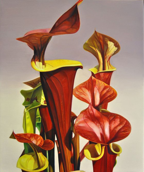 Sarracenia Waccamaw, Oil on canvas painting