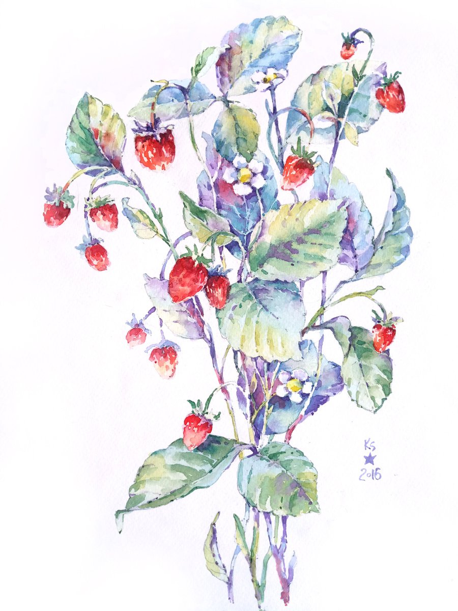 Bouquet of strawberry sprigs modern watercolor botanical sketch by Ksenia Selianko