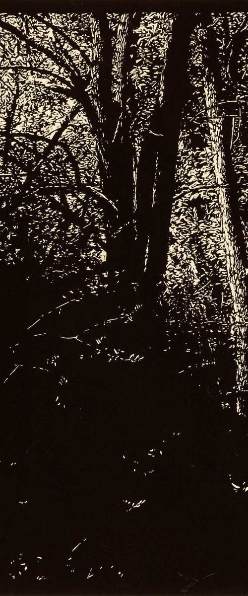 NIGHT WATCH by David Conn