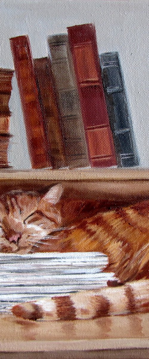 Sweet Dream. Ginger Cat by Ira Whittaker