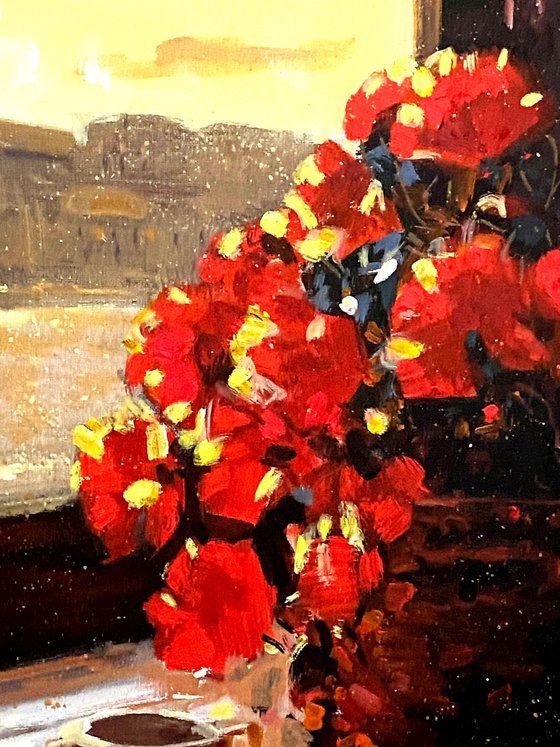 Morning Light in Venice