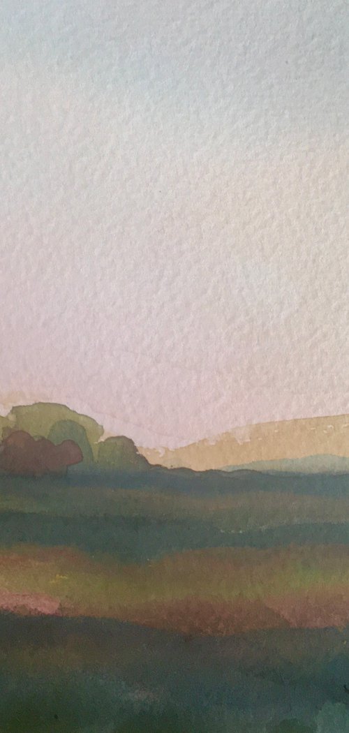 A special place on the heath by Samantha Adams