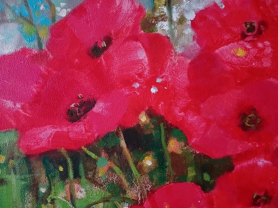 Poppies in the Field