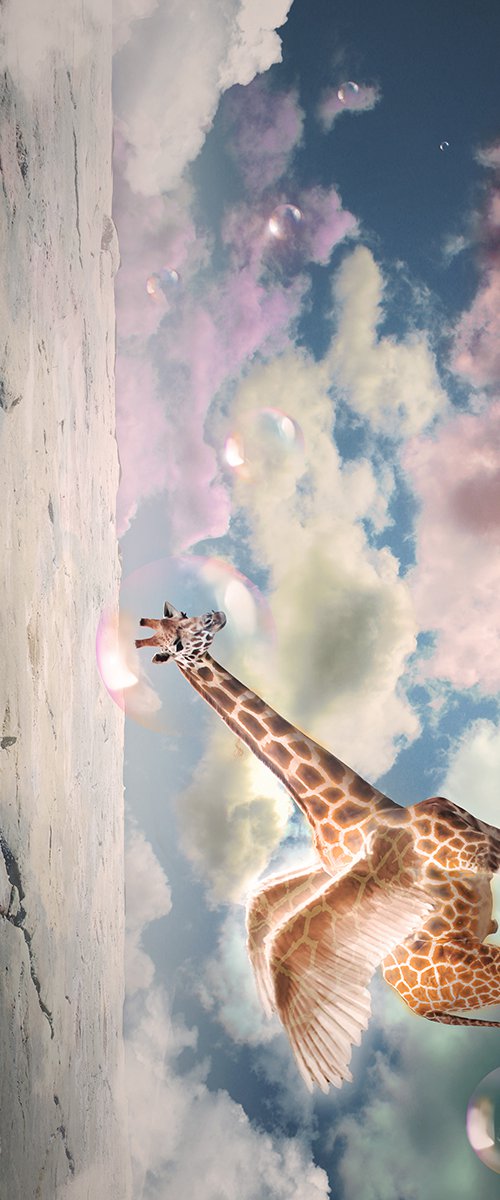 Giraffe Clouds by Vanessa Stefanova