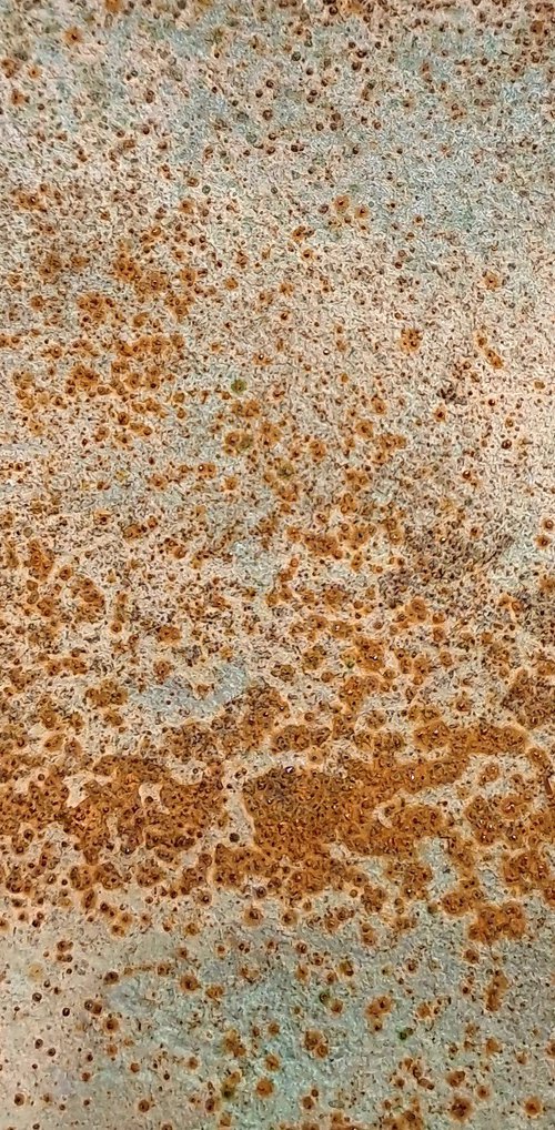 The bridge VII by Fabien Petillion