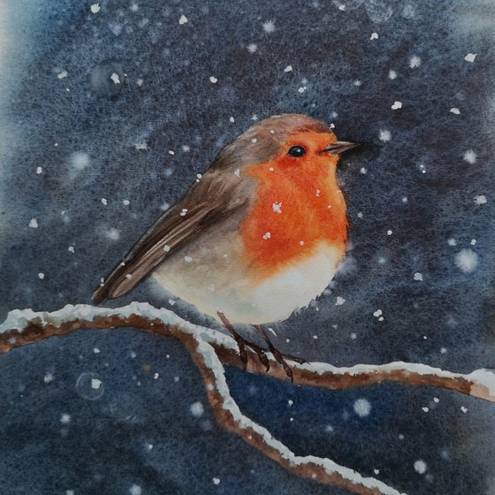 Robin Bird