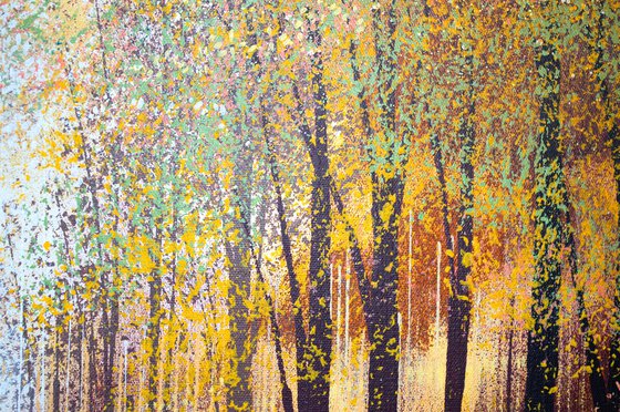 Autumn Forest Trees 3