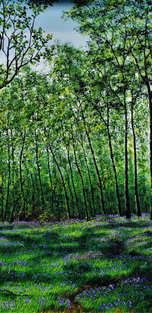 Late Spring In The Forest   100cm x 120cm by Hazel Thomson
