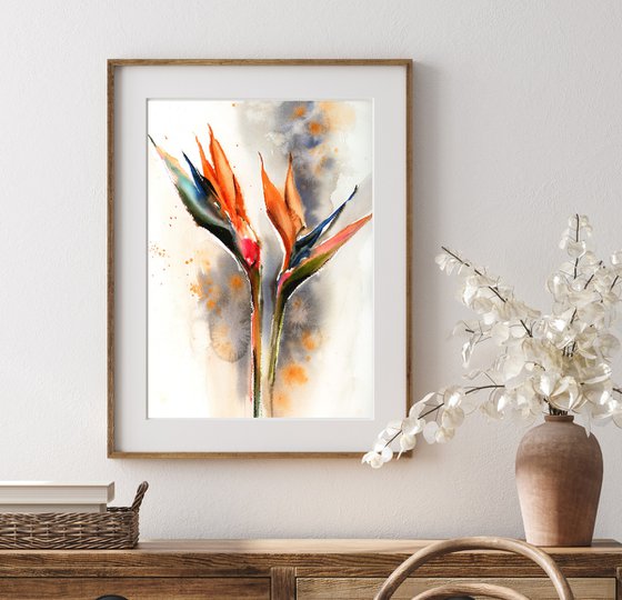 Bird of Paradise Florals