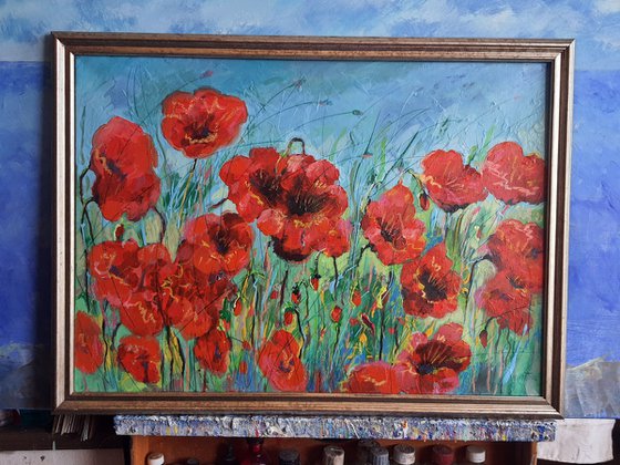 Poppies Red