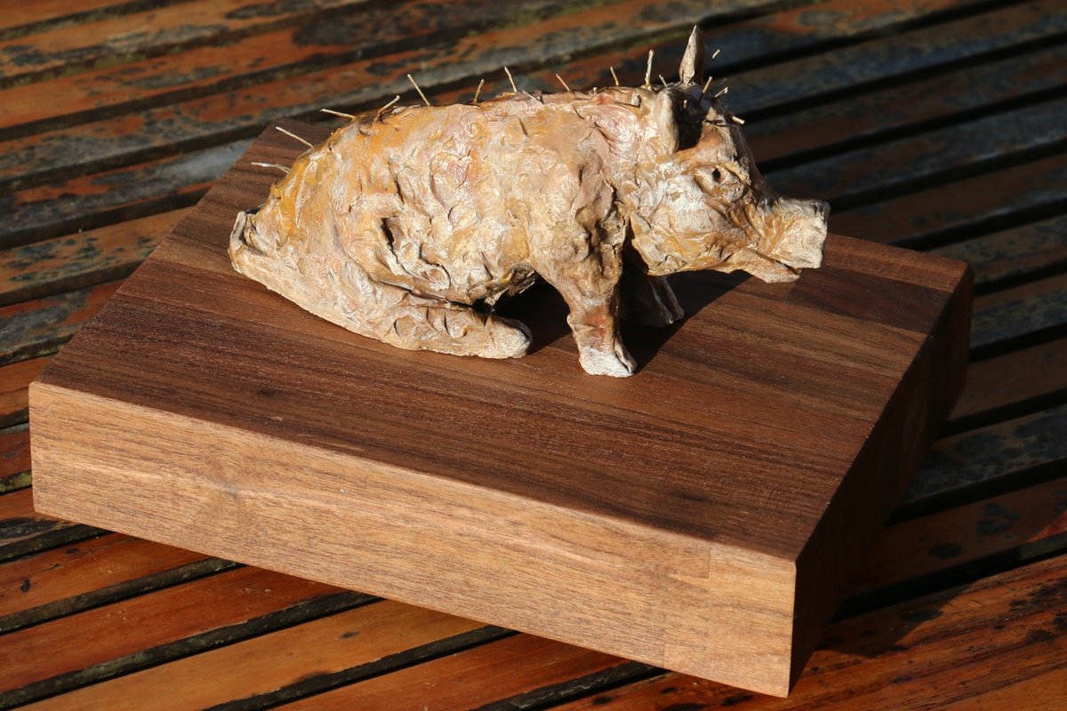 Pig 1 by Stuart Roy