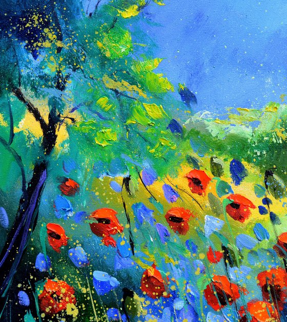 red poppies