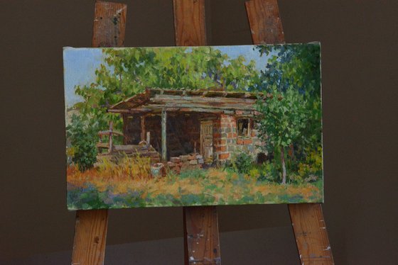 The Forgotten Shelter