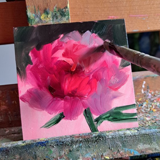 Peony flower