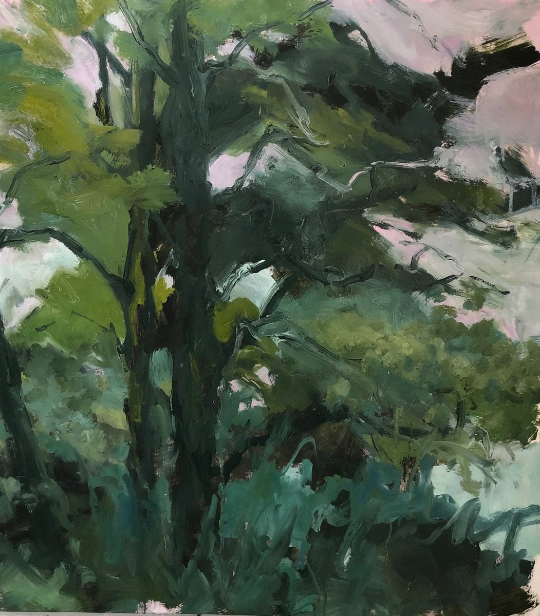Aged Oak By Joanna Farrow, 20 X 22, Artwork For Sale On Artfinder