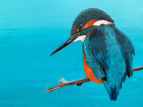 Kingfisher Blue