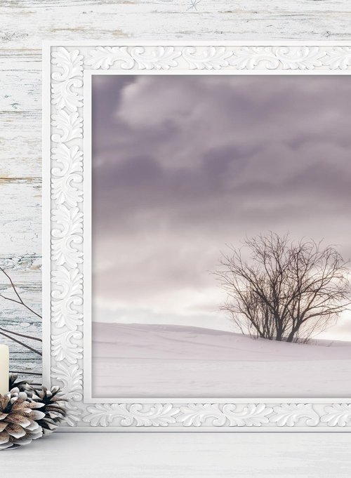White Italian Scape #13 by Karim Carella