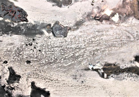 Yin Yang Ocean