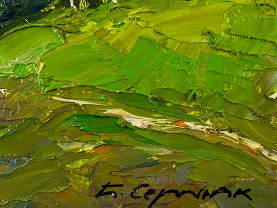 Birch Grove in the Light of the Morning Sun