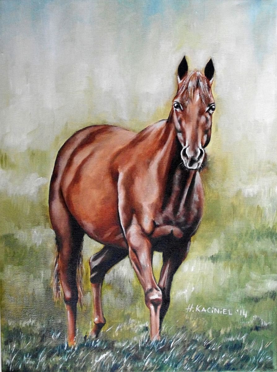 Horse I by Hanna Kaciniel