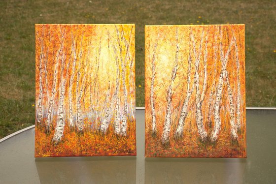 Autumn birch trees forest