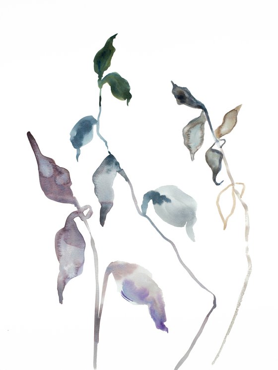 Plant Study No. 56