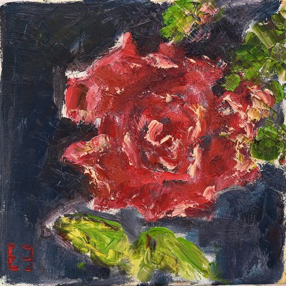 Red rose