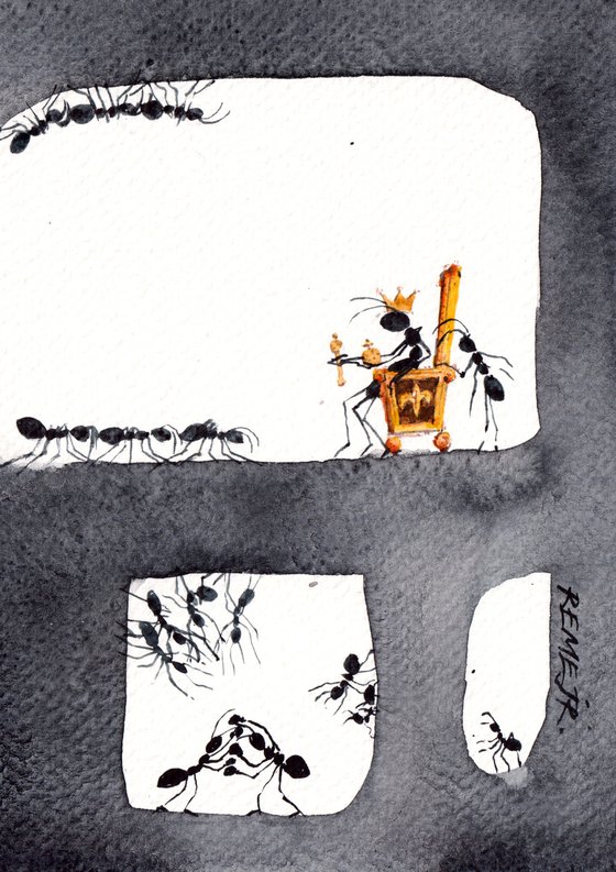 How do ants live?