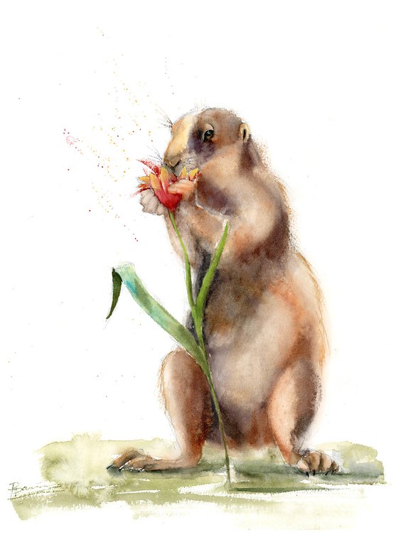 Groundhog smelling flower