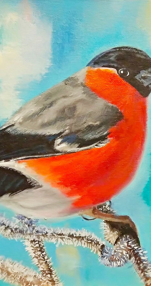 Bullfinch bird on a branch by Yulia Berseneva