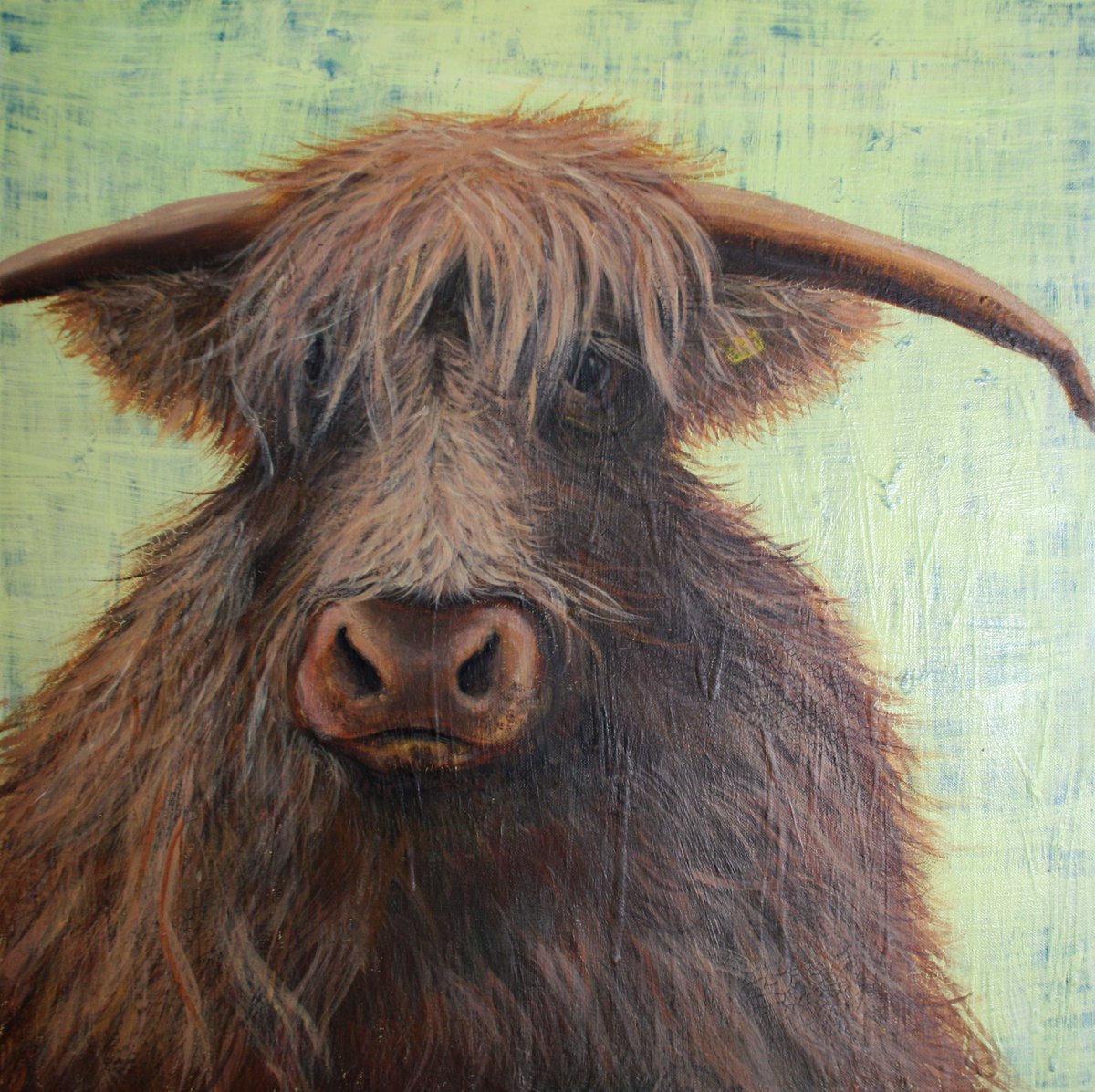 Highland Cow By Salana Art / Svetlana Samovarova, 24 X 24, Artwork For Sale On Artfinder